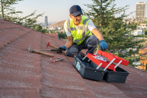 Best Steel Siding Installation  in La Luz, NM